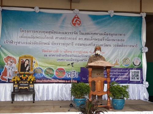 01.jpg