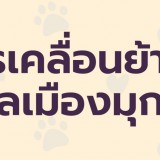 S__16572421